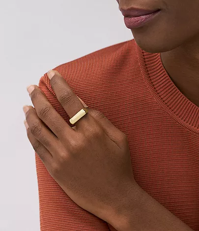 Heritage D-Link Glitz Gold-Tone Stainless Steel Signet Ring - Image 2